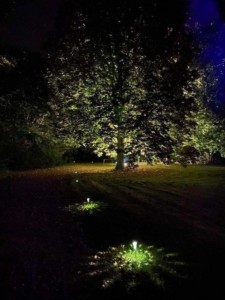 Éclairage nocturne de l'allée vers le château