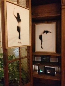 Xavier BLONDEAU (Photographie) Xavier Bondeau (Photographies)